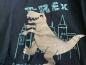 Preview: Kinder Kapuzenpulli "T-Rex Attention Danger Zone" navy mit Dinosaurier-Motiv Größe 122