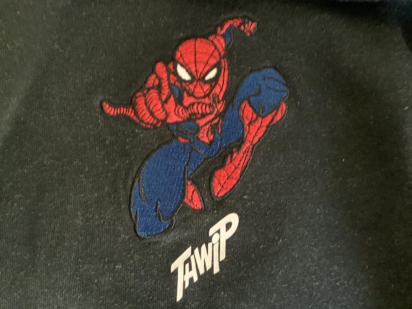 Kinder Pullover  Größe 110/116 mit Kaputze