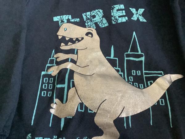 Kinder Kapuzenpulli "T-Rex Attention Danger Zone" navy mit Dinosaurier-Motiv Größe 122